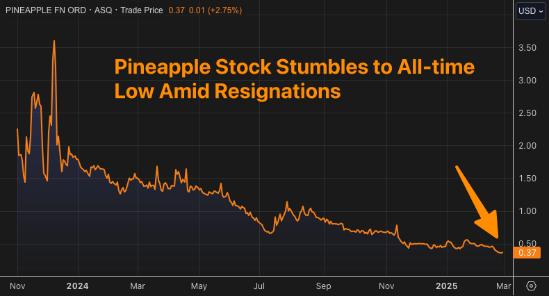 Is Pineapple Financial Imploding?